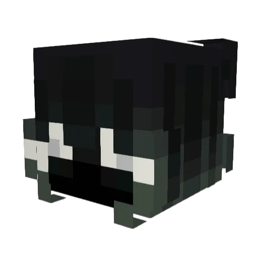 Asketii Minecraft avatar head, 3D render