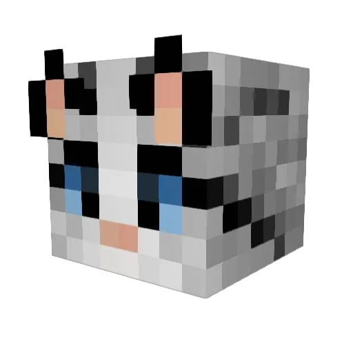 Askiewicz Minecraft avatar head, 3D render
