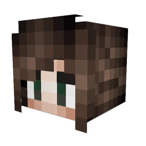 Askirvin Minecraft avatar head, 3D render
