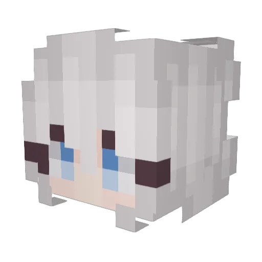 Askon10 Minecraft avatar head, 3D render