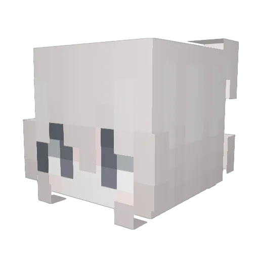 Asks_dij Minecraft avatar head, 3D render