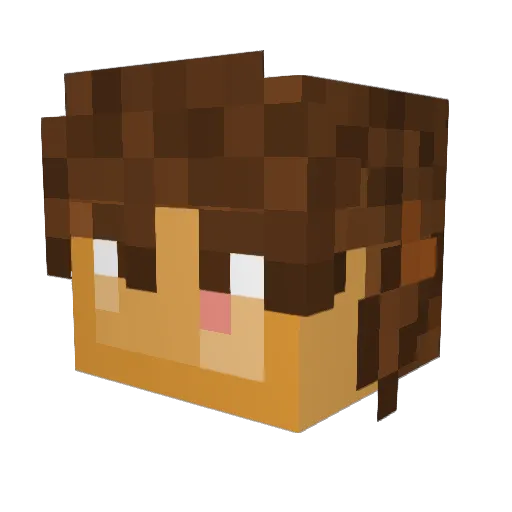 Aslakkk Minecraft avatar head, 3D render