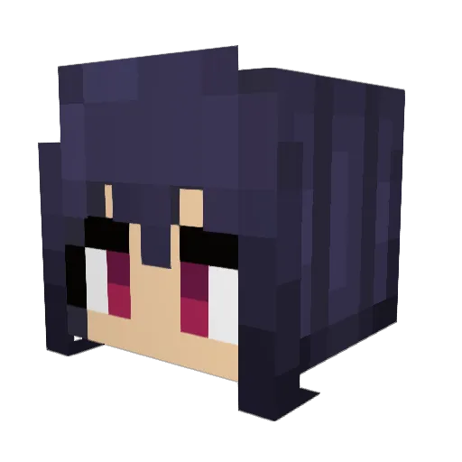 Aslan0836 Minecraft avatar head, 3D render