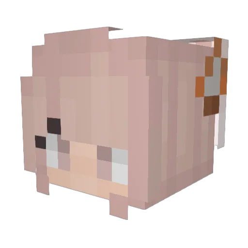 Aslante Minecraft avatar head, 3D render