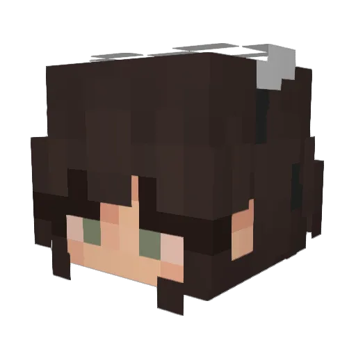 Asle_ Minecraft avatar head, 3D render
