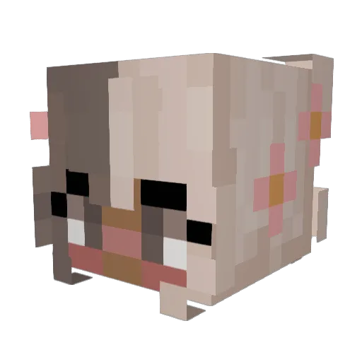 Aslushie Minecraft avatar head, 3D render