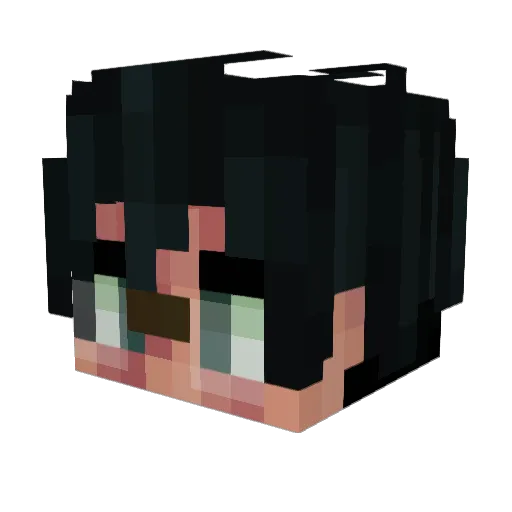 Asma010 Minecraft avatar head, 3D render