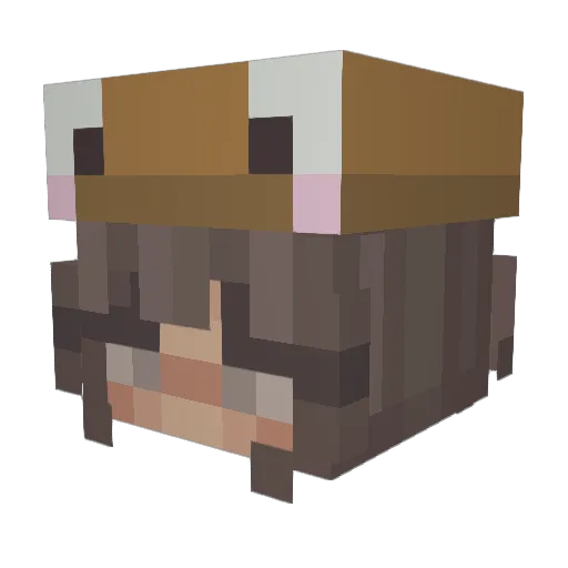 Asmiggl3 Minecraft avatar head, 3D render