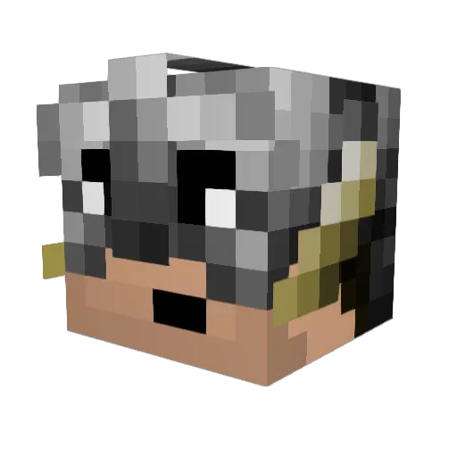 Asnsor Minecraft avatar head, 3D render