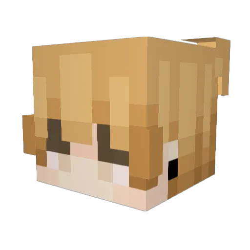 AsoarX Minecraft avatar head, 3D render