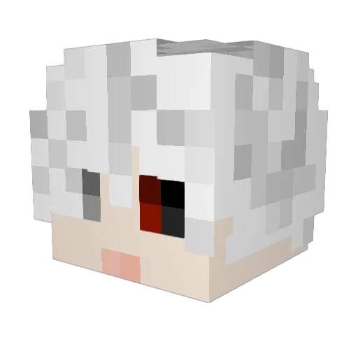 Asopro1071 Minecraft avatar head, 3D render