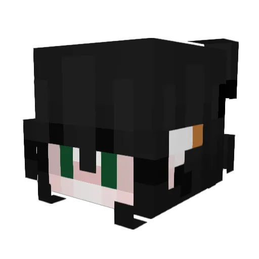 Asova Minecraft avatar head, 3D render