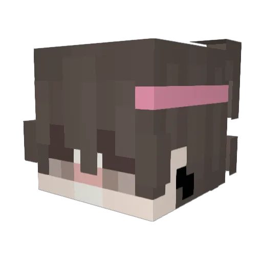Asoxia_ Minecraft avatar head, 3D render
