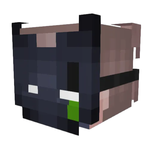 Aspect2166 Minecraft avatar head, 3D render