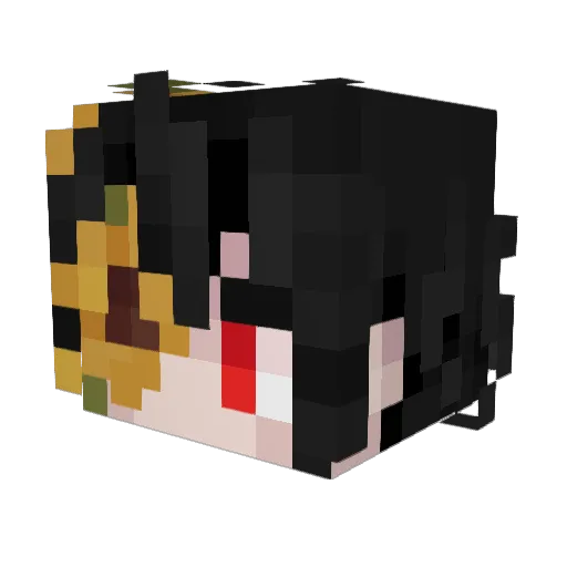 Aspect30 Minecraft avatar head, 3D render