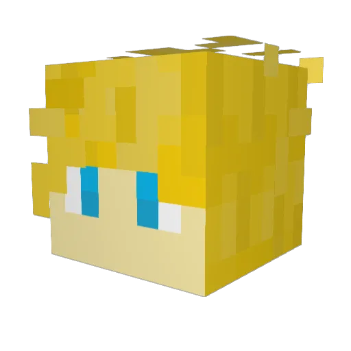 Aspect84 Minecraft avatar head, 3D render