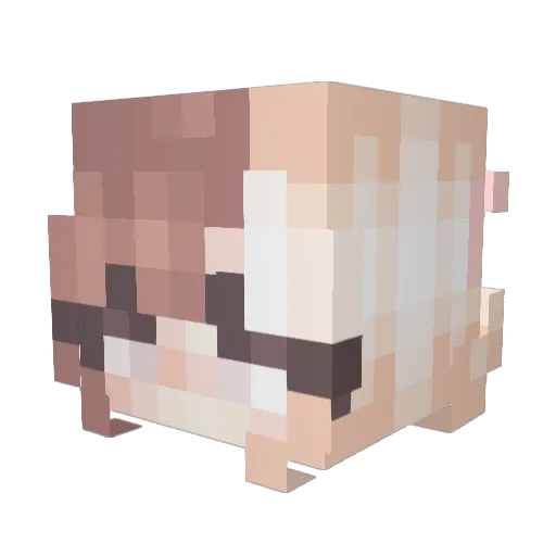 AspectLife Minecraft avatar head, 3D render
