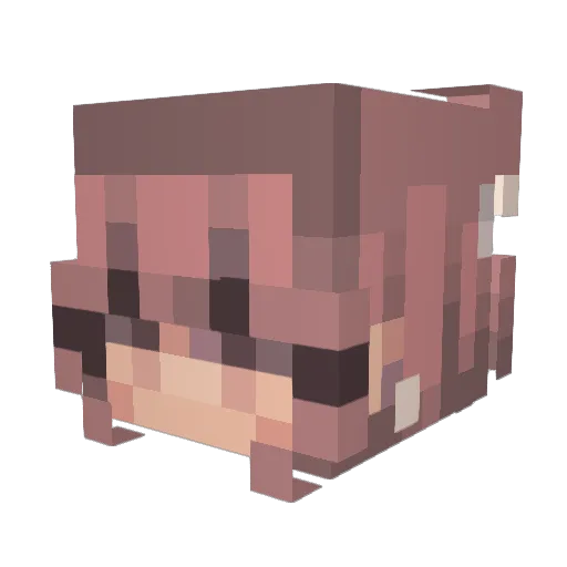 AspectOTD Minecraft avatar head, 3D render