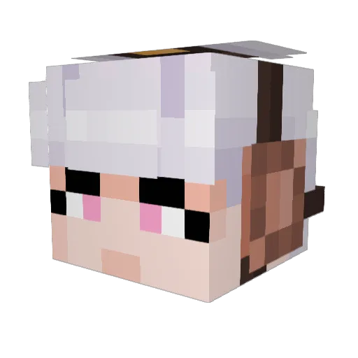 AspectSmth Minecraft avatar head, 3D render