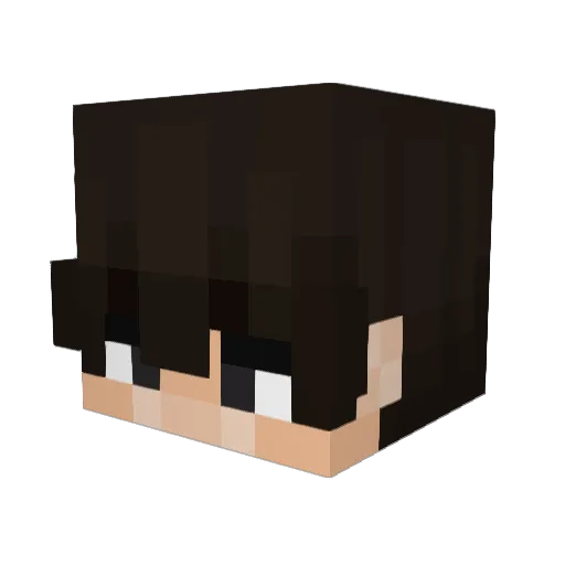 Aspect_55 Minecraft avatar head, 3D render