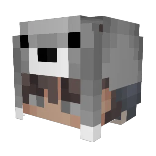 Aspectbh Minecraft avatar head, 3D render