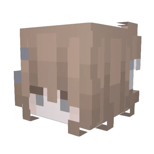 Aspecti Minecraft avatar head, 3D render