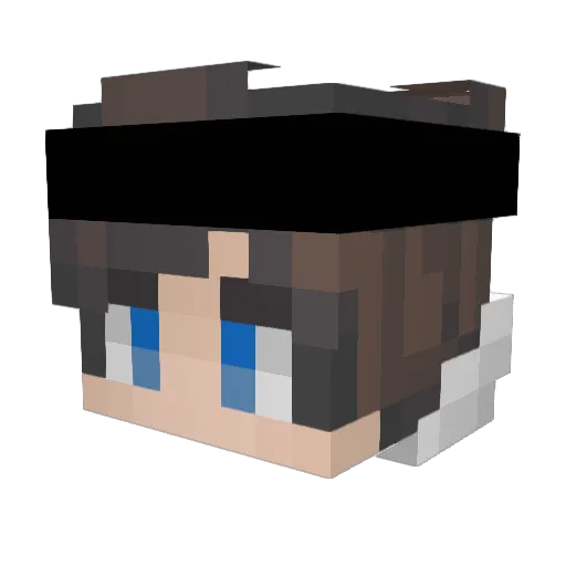 Aspecti_ Minecraft avatar head, 3D render