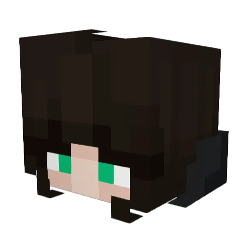 AspectinLife01 Minecraft avatar head, 3D render