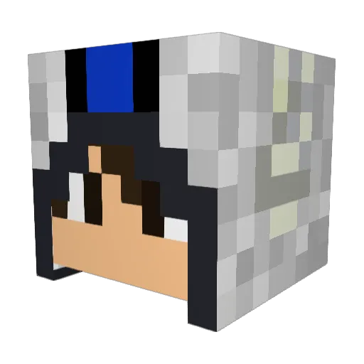 Aspen64 Minecraft avatar head, 3D render