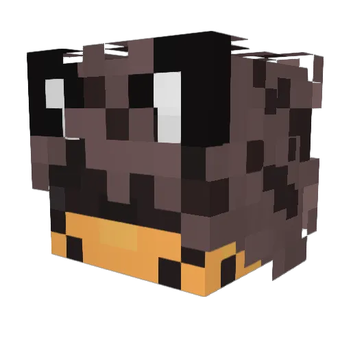 AspenScript Minecraft avatar head, 3D render