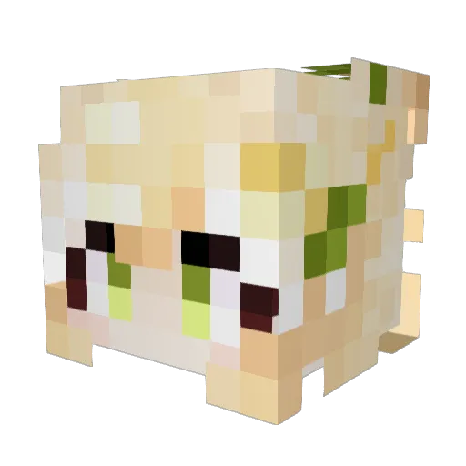 AspenSqueezy Minecraft avatar head, 3D render