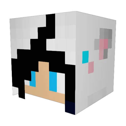 Aspen_2000 Minecraft avatar head, 3D render