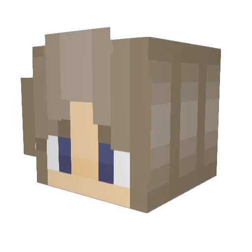 Aspen_Cove Minecraft avatar head, 3D render