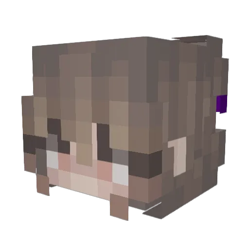 Aspenskiman Minecraft avatar head, 3D render