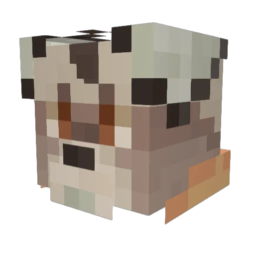 Aspenz_ Minecraft avatar head, 3D render