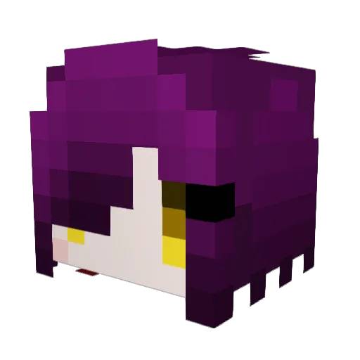 Asperger_kun Minecraft avatar head, 3D render