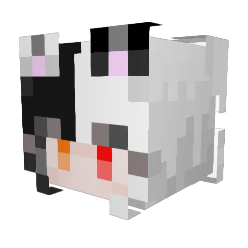 Aspheir Minecraft avatar head, 3D render