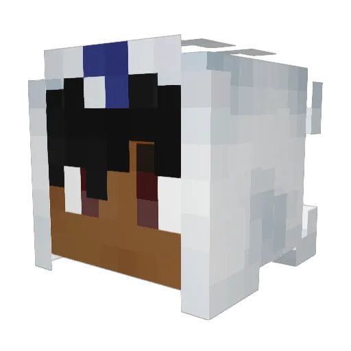 Asphyxiety Minecraft avatar head, 3D render