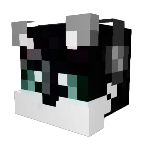 Asphyxz Minecraft avatar head, 3D render
