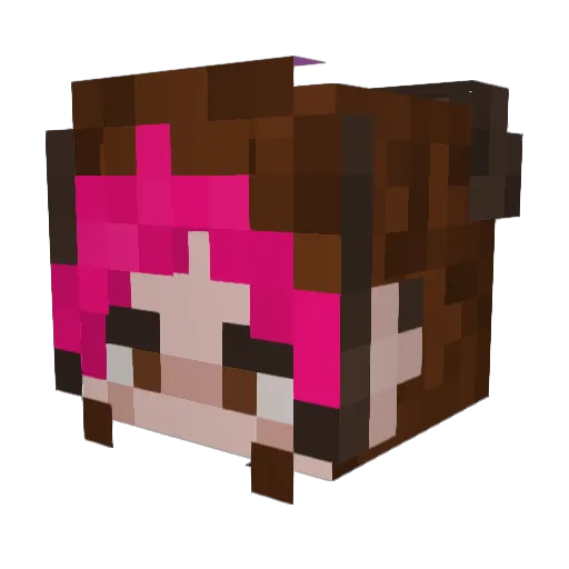Aspic420 Minecraft avatar head, 3D render