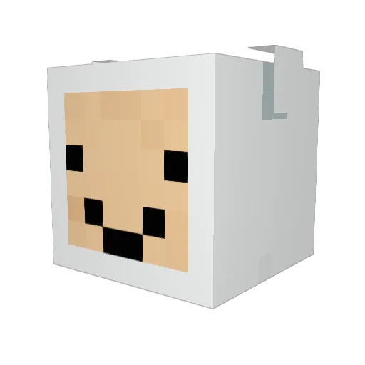 Aspire49 Minecraft avatar head, 3D render