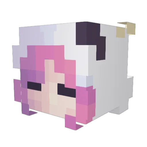Aspirynkax Minecraft avatar head, 3D render