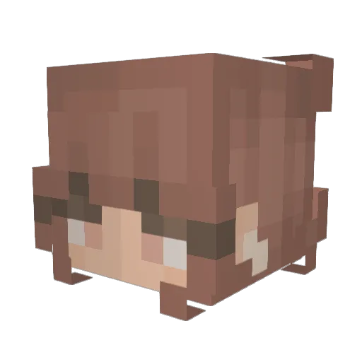 AspnTree Minecraft avatar head, 3D render