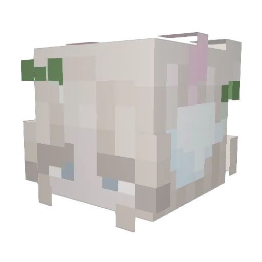 Aspookie Minecraft avatar head, 3D render