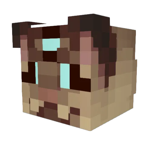Asralore Minecraft avatar head, 3D render