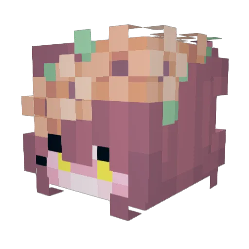 Asriel_TwT Minecraft avatar head, 3D render
