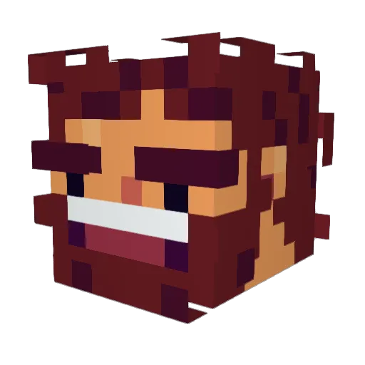 AssAnGrat Minecraft avatar head, 3D render