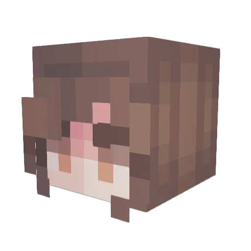 AssAnnihilator77 Minecraft avatar head, 3D render