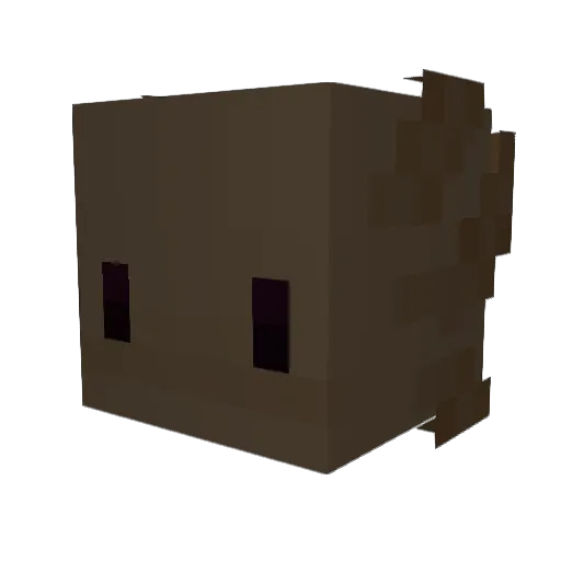 AssCat13 Minecraft avatar head, 3D render