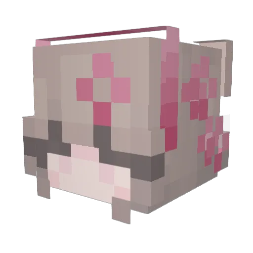 Assaf0 Minecraft avatar head, 3D render